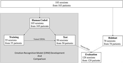 Validation and application of the Non-Verbal Behavior Analyzer: An automated tool to assess non-verbal emotional expressions in psychotherapy
